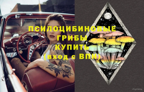 амф Беломорск