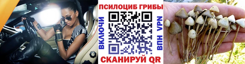 Галлюциногенные грибы мухоморы Нефтекумск